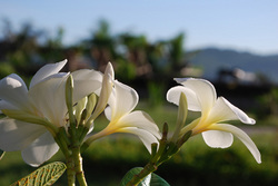 lombok.1.jpg