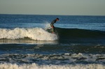 IMG_4359.jpg