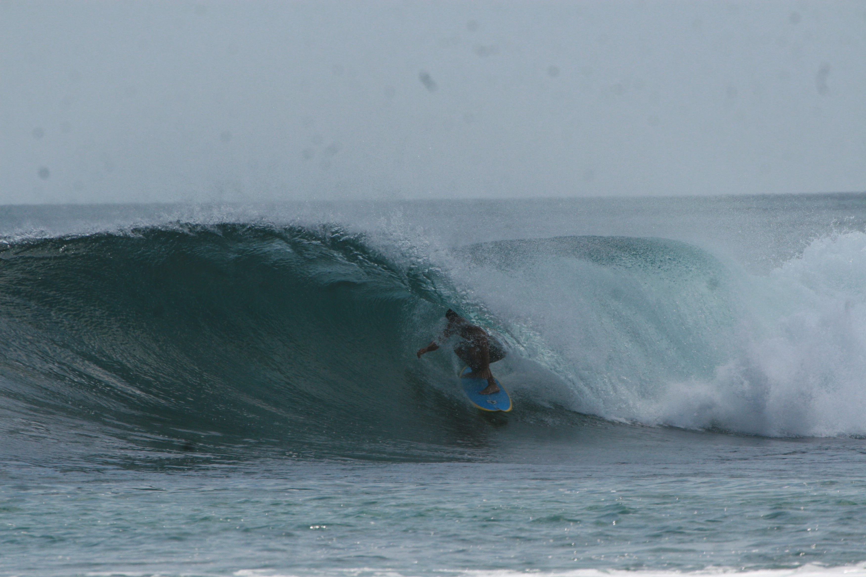 World Surfaris Japan 海外国内サーフトリップ Costa Rica サーフガイド